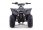 Preview: Apollo Quad Sano Predator 110cc